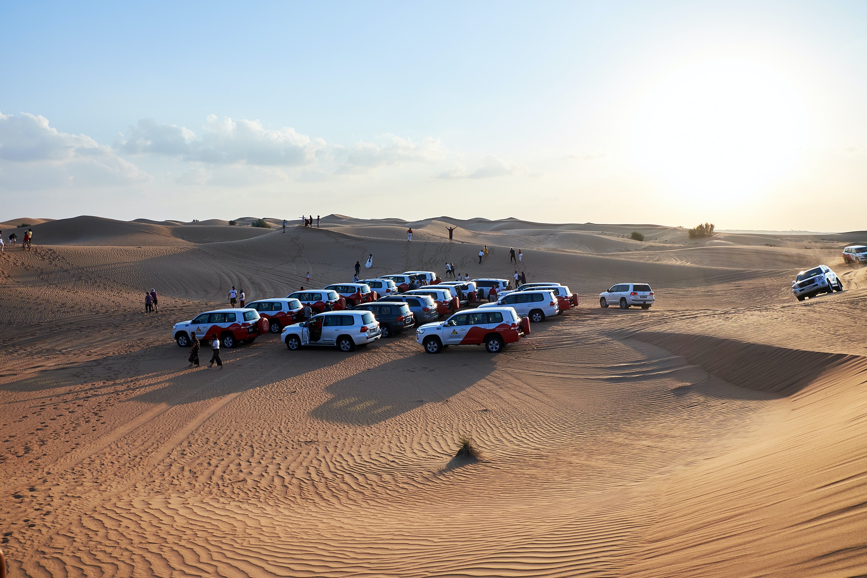 Day 07: Dubai Desert Safari, BBQ Dinner, Falcon Experience