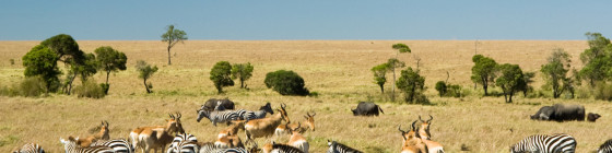 9 Days Nairobi, Masai Mara & Diani Beach Tour Package