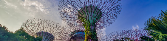3 Days Singapore Highlights Private Tour