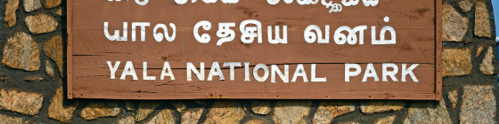 11 Days Sri Lanka Luxury Tour Package