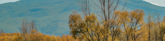 7 Days Best of Yunnan Group Tour