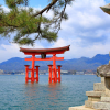 9 Days Japan Golden Route with Hiroshima & Mount Fuji from Osaka