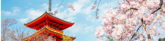 9 Days Japan Cherry Blossom Golden Route Tour