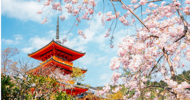 9 Days Japan Cherry Blossom Golden Route Tour