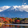 7 Days Japan Golden Route Small Group Tour from Tokyo to Osaka