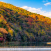 8 Days Japan Autumn Leaves Tour with Osaka, Kyoto, Tokyo and Mount Fuji