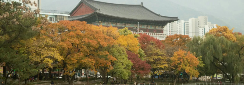 Explore Iconic K-Drama Locations in South Korea