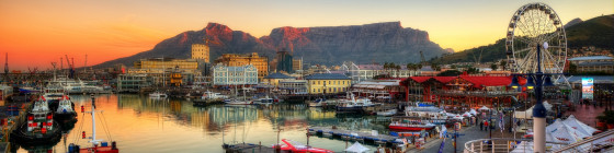 8 Days Cape Town, Knysna & Safari Tour Package