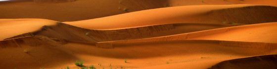 10 Day Nile Egypt Experience & White-Desert Safari
