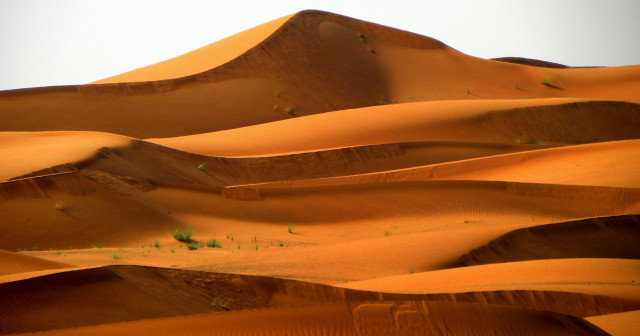 10 Day Nile Egypt Experience & White-Desert Safari