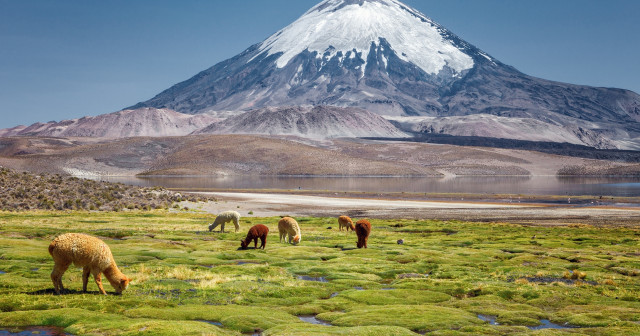 Andean Circuit: 10-Day Bolivia, Chile & Argentina Adventure
