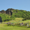 Seoul to Jeju Halal Trip in 7-Day