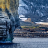 13 Day Antarctica Undiscovered and Buenos Aires Premium Expedition Cruise 2026