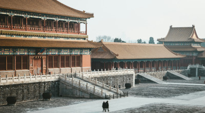 China in Winter: Harbin, Yunnan or Zhangjiajie? Which Should You Choose?