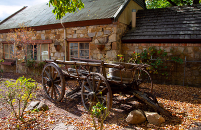 6 Days Adelaide and Kangaroo Island Experience highlight 4
