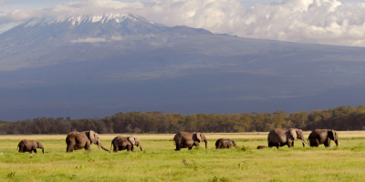 13 Days Maasai Mara, Lake Naivasha & Diani Beach Kenya Safari Tour Package tour photo 2