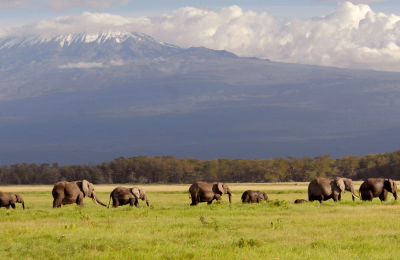 13 Days Maasai Mara, Lake Naivasha & Diani Beach Kenya Safari Tour Package highlight 2
