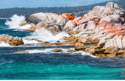8 Days Hobart, Port Arthur, Bay of Fires & Cradle Mountain Tasmania Tour highlight 2