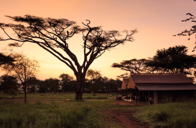 11 Days Tanzania Safari & Zanzibar Beach Holiday Package highlight 4