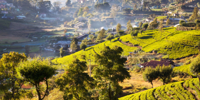 11 Days Sri Lanka Luxury Tour Package tour photo 1