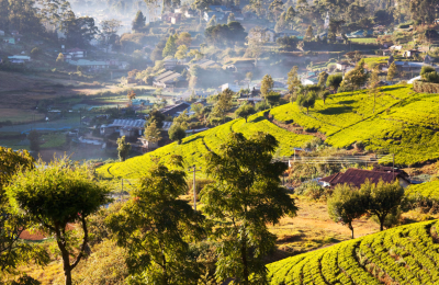 11 Days Sri Lanka Luxury Tour Package highlight 1