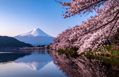 9 Days Japan Cherry Blossom Golden Route Tour highlight 3