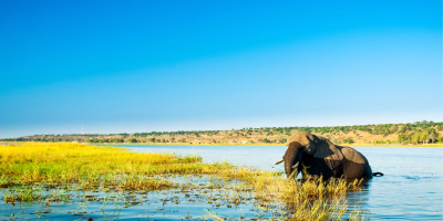 5 Days Victoria Falls & Chobe Safari Tour Package tour photo 2