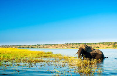 5 Days Victoria Falls & Chobe Safari Tour Package highlight 2