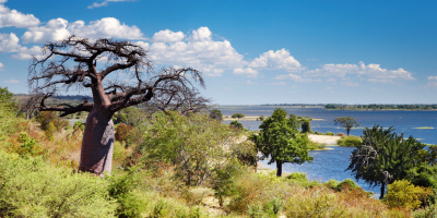 7 Days Victoria Falls, Chobe & Okavango Safari Tour Package tour photo 2