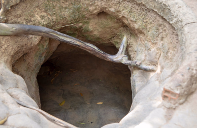 5 Days Ho Chi Minh City, Cu Chi Tunnels and Mekong Delta Tour highlight 4