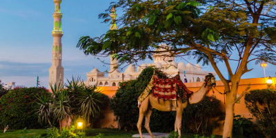 Cairo to Hurghada via Luxor in 7 Days tour photo 2