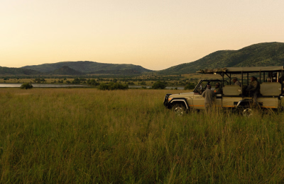 14 Days South Africa Safari, Garden Route & Cape Town Tour Package highlight 1