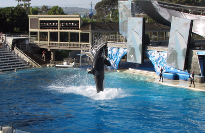 Los Angeles & San Diego: 6-Day California Coastal Tour highlight 3