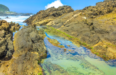 14 Days South Africa Safari, Garden Route & Cape Town Tour Package highlight 2