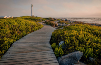14 Days South Africa Safari, Garden Route & Cape Town Tour Package highlight 3