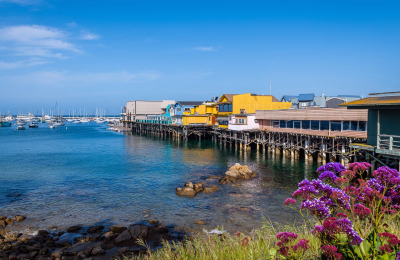 Western Wonders: 8-Day US West Coast Tour highlight 1