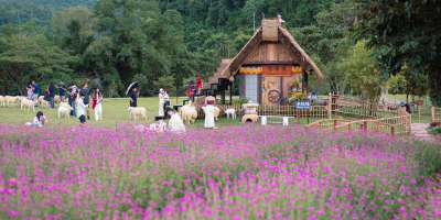 6 Days Bangkok, Ayutthaya & Khao Yai Tour Package tour photo 1