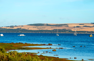 6 Days Adelaide and Kangaroo Island Experience highlight 2