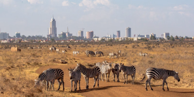 9 Days Nairobi, Masai Mara & Diani Beach Tour Package tour photo 2
