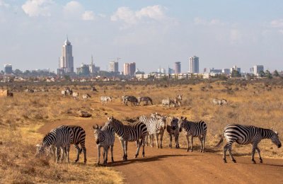 9 Days Nairobi, Masai Mara & Diani Beach Tour Package highlight 2