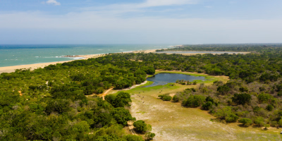 12 Days Sri Lanka Wildlife & Beach Holiday Package tour photo 2