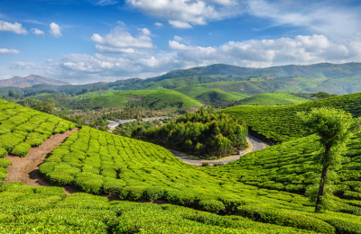 7 Days Kerala Tour Package with Houseboat Stay highlight 4