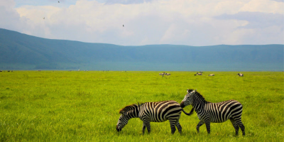 9 Days Tarangire, Serengeti, Ngorongoro & Zanzibar Tour Package tour photo 2