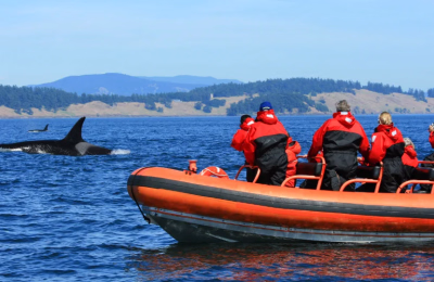 7-Day Vancouver, Whistler & Victoria Adventure: Nature, Culture & Scenic Wonders highlight 2