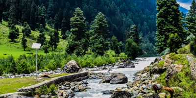 9 Days Golden Triangle & Kashmir Tour Package tour photo 2
