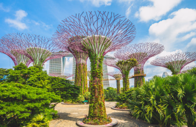 5 Days Singapore & Malaysia Tour Package highlight 4