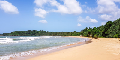 12 Days Sri Lanka Wildlife & Beach Holiday Package tour photo 1
