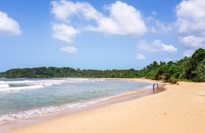12 Days Sri Lanka Wildlife & Beach Holiday Package highlight 1