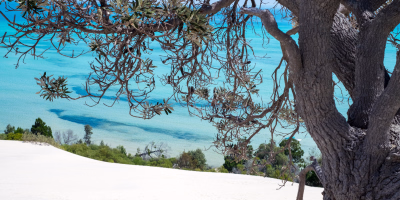 8 Days Brisbane, Lone Pine, Tangalooma & Gold Coast Holiday Package tour photo 1