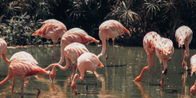 4 Days Phu Quoc Island Tour Package tour photo 2